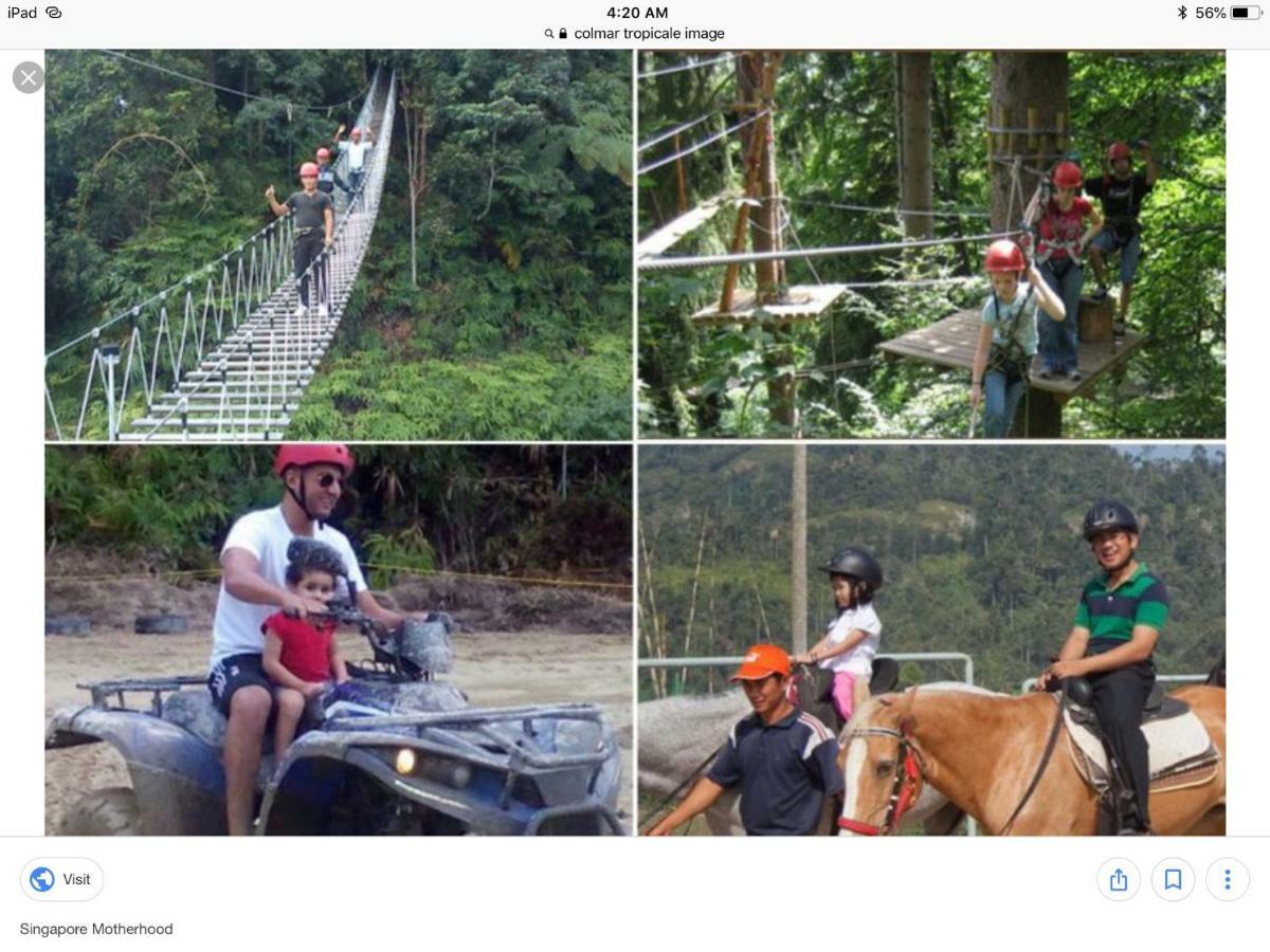 Bukit Tinggi Berjaya Hill Homestay Kültér fotó