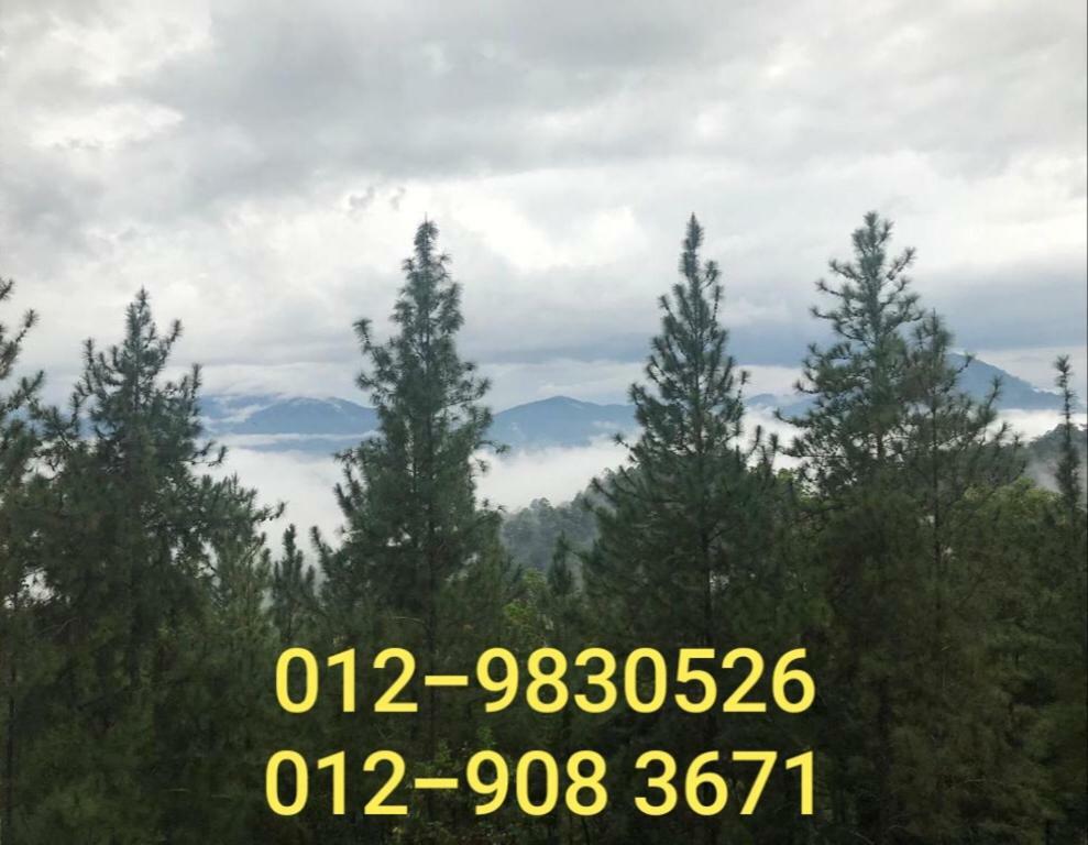 Bukit Tinggi Berjaya Hill Homestay Kültér fotó